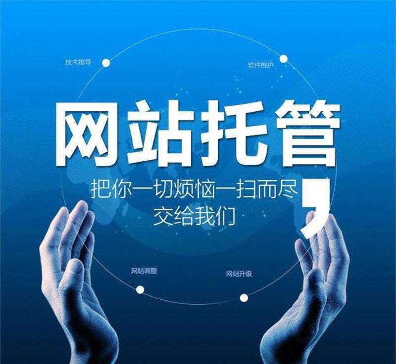 SEO站群在新媒体营销中的应用之道
