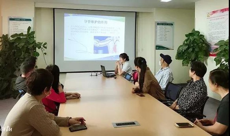 站群系统：构建多元化电商生态的新篇章